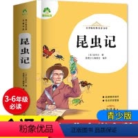 昆虫记 456页 [正版]原著完整版昆虫记法布尔青少年版名著原版全集套装七八年级7-8上册下册必读学生版人教小学生书籍语