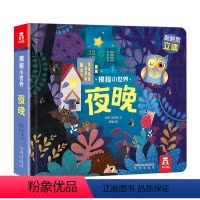 揭秘小世界第二辑 夜晚 [正版]揭秘小世界立体版夜晚 0-3岁低幼宝宝情景体验认知艺术绘本 洞洞翻翻立体趣味知识科普 早