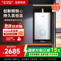 AO史密斯佳尼特16升燃气热水器佳尼特 小体积 不锈钢换热器8年包换 恒温大水量 抗风防冻 JSQ31-TCA1