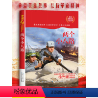 两个小八路 [正版]两个小八路李心田著书小学生红色经典书籍传统文化革命爱国主义教育故事书老师三必四六五年级读的课外书抗日