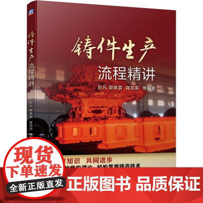 机工 铸件生产流程精讲 彭凡 原晓雷 薛蕊莉 等编著