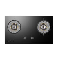 百得(BEST)华帝股份燃气灶AQ15 5.0kW台嵌两用灶具梯焱火燃烧系统加宽底壳自由换装铝合金炉头液化气