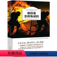 钢铁是怎样炼成的 [正版]钢铁是怎样炼成的原著完整无删减适合小学生初中生课外阅读书籍青少年初二学生版七八年级下册世界文学