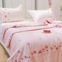 家柏饰(CORATED)60支双面天丝夏凉被可水洗机人双人被芯春秋夏季薄被子空调被