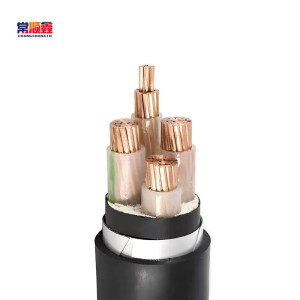 常顺鑫 低压铜芯电缆ZC-YJV22 3×16+1×10 米