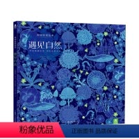 [正版]遇见自然 视觉发现绘本 3-6岁 精装绘本发现诗意自然游戏探索自然 提升幼儿专注力想象力亲子互动
