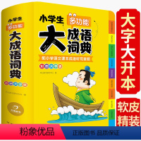 [正版]抖音同款/成语词典2022新版中小学生多功能大全书彩色大开本字典中华现代汉语词语解释工具书儿童四字成语接龙故事