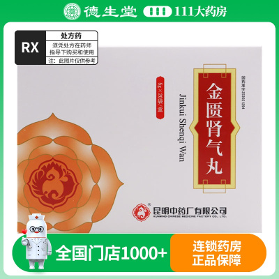 昆中药 金匮肾气丸 5g*20袋/盒
