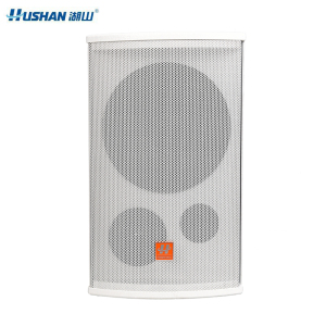 湖山专业音响 HY80A(支)