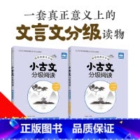 [正版]小古文分级阅读六年级小升初6年级上下册国学经典日日诵赠朗诵音频华东理工大学出版社六年级小升初年级古文专项训练