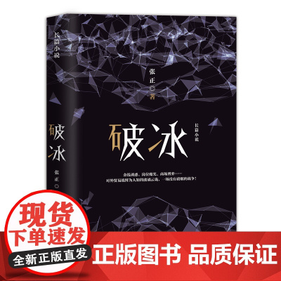 新书 破冰 张正著 金钱诱惑、岗位魔咒、中国商战小说,揭露对外贸易战鲜为人知的波谲云诡 中国当代文学长篇小说