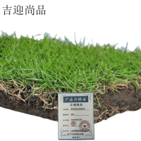 吉迎尚品 真草坪绿化草皮草地 ZSH 平方米