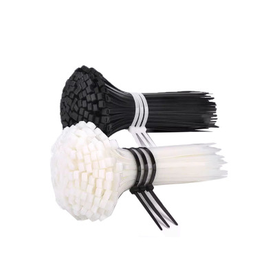 菲尔阿扎 PHIL ARZA 扎线带4*200mm/根