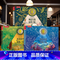 光里游世界三册套装 [正版] 光里游世界3-6-8-12岁绘本神奇生物海洋奇境恐龙时代专注力培养探索之旅科普百科课外阅读