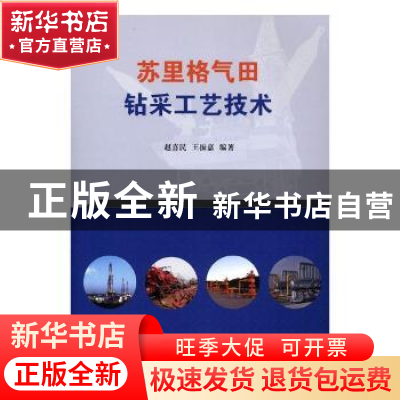 正版 苏里格气田钻采工艺技术 赵喜民,王振嘉 著 石油工业出版社