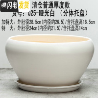 三维工匠28厘米陶瓷花盆特大号植物盆栽花盆君子兰花大花盆陶瓷带托盘 025亚光白款 外直径约28cm花盆容器