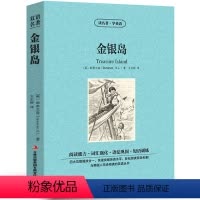 [中英互译]金银岛 [正版]世界十大名著全套中英文10册简爱傲慢与偏见飘巴黎圣母院悲惨世界呼啸山庄茶花女复活红与黑双语书