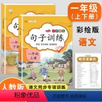 句子训练(上册+下册) 小学一年级 [正版]汉之简 句子训练 一/1年级上册下册小学生语文基础训练100分同步训练句子专