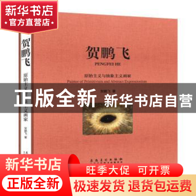 正版 贺鹏飞:原始主义与抽象主义画家 贺鹏飞著 安徽美术出版社