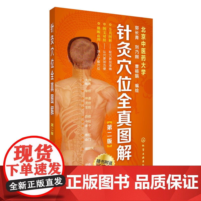 正版书籍]针灸穴位全真图解(第二版) 郭长青 化学工业出版社 真人照片与解剖图结合的方式展示针灸穴位 直观 定位准确