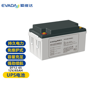 爱维达(EVADA)免维护蓄电池DT12-65