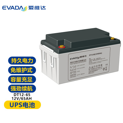 爱维达(EVADA)免维护蓄电池DT12-65