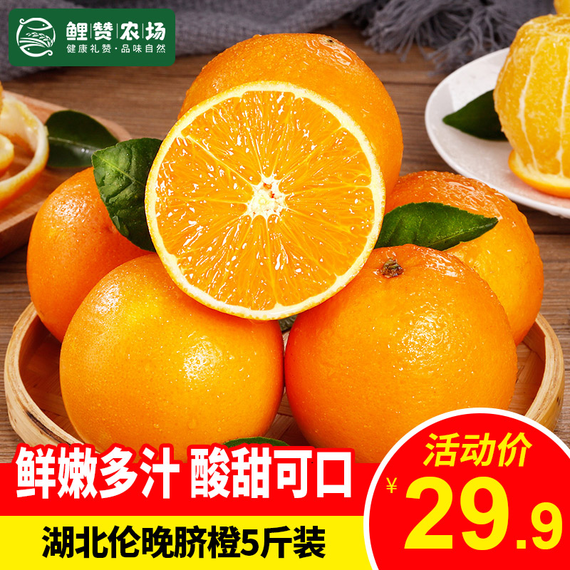 脐橙和甜橙哪个好吃点(脐橙和甜橙哪个好吃点呢)