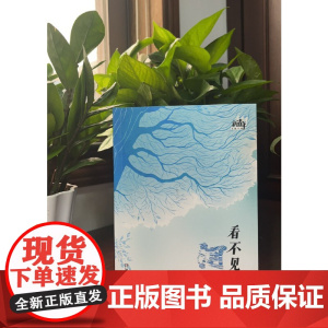 看不见的河流