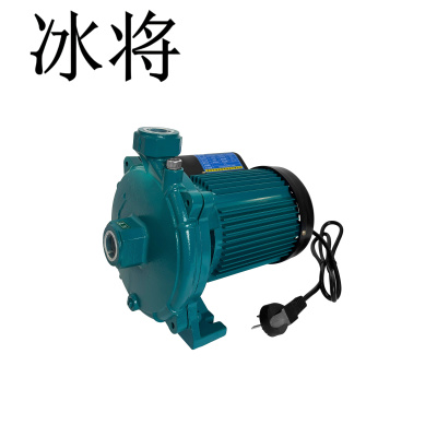 冰将 220V冷热水自吸离心循环泵 600W 台