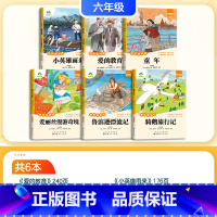 [快乐读书吧]六年级上下册 小学六年级 [正版]墨点字帖六年级字帖上册英语字帖外研版练字帖小学生每日一练钢笔字帖英语同步