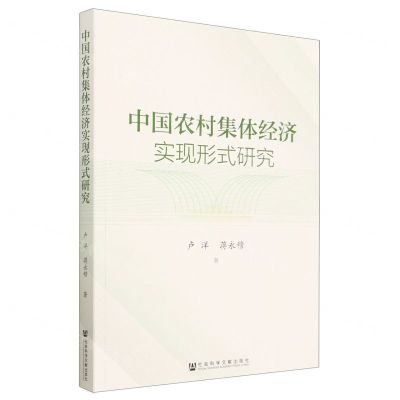 [N]中国农村集体经济实现形式研究-9787522816487