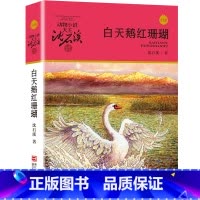 白天鹅红珊瑚 [正版]沈石溪动物小说品藏书系列全集36册 斑羚飞渡第七条猎狗后一头战象雪豹悲歌珍藏版全套画本生肖