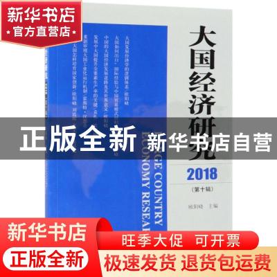 正版 大国经济研究:2018(第十辑) 欧阳峣主编 经济科学出版社 978