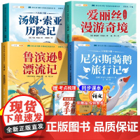 鲁滨逊漂流记六年级下册必读的课外书快乐读书吧爱丽丝漫游奇境汤姆索亚历险记尼尔斯骑鹅旅行记原著完整版鲁滨孙全套书目企鹅正版