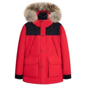 统狮羽绒服D73 件
