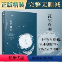 [正版]精装丨瓦尔登湖 梭罗原著全译本完整无删减含注释 名家名译 初高中学生青少年课外阅读书 世界名著随笔经典长篇散文