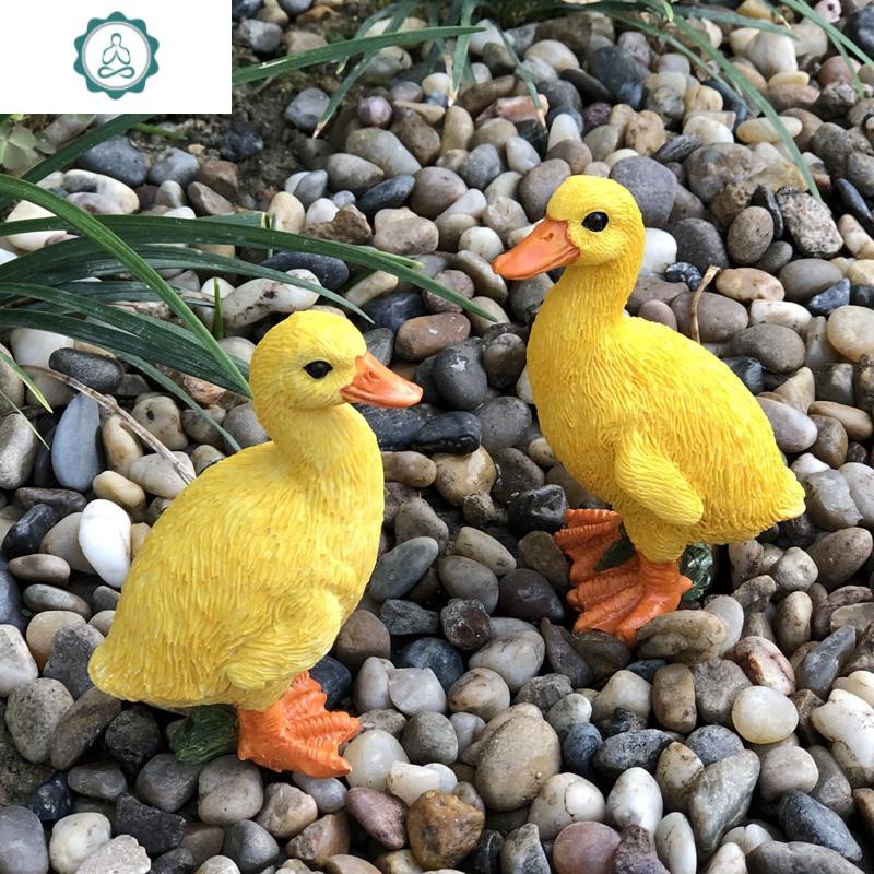封后 情侣鸭2只(公鸭 母鸭)