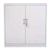 良佳兴 文件柜门 800*900*500mm 个