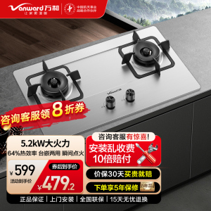 万和 一级能效5.2kW大火力 家用台式嵌入式燃气灶具 双眼灶 不锈钢 JZT-B9B50(天然气)
