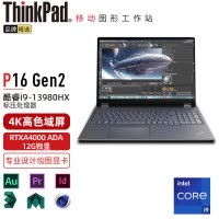 联想笔记本电脑ThinkPad P16 (0CCD) 英特尔酷睿i9 16英寸高性能轻薄设计师工作站 定制i9-13980HX 64G 1TB RTXA4000 12G 4K超清