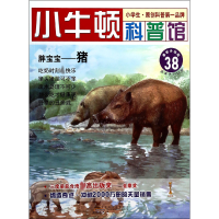 正版新书]胖宝宝--猪(新升级版)/小牛顿科普馆台湾牛顿出版公司9
