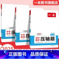 (3本)数学+物理+化学 全国通用 [正版]2025初中数学压轴题九年级中考数学有理数方程初三数学必刷题上下册通用中考数