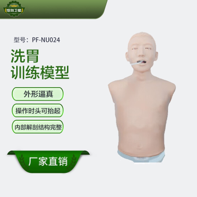 恒则卫勤 洗胃训练模型 PF-NU024