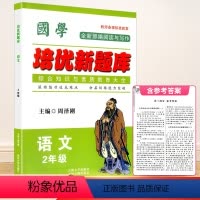 二年级 语文 [正版]国学 培优新题库 综合知识与素质教育大全 语文 2年级/二年级 全一册 上册下册通用 各种版本通用