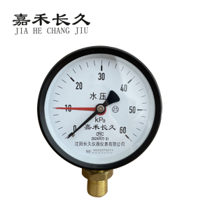 嘉禾长久 水压表 Y100 0-60Kpa 个