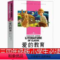 爱的教育 阿米琪斯 [正版]大盗贼书4册 唱歌的咖啡磨+危险的沼泽地+奇幻水晶球 小学生课外书二十一世纪出版社普鲁士勒作