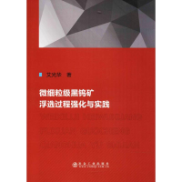 音像微细粒级黑钨矿浮选过程强化与实践艾光华 著