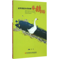 音像这样就能办好家庭养鹅场邢军 主编