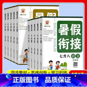 数学(浙教版) 七年级 [正版]2023新励耘暑假衔接七升八语文数学英语科学八升九人教版浙教版七年级下册复习八年级上册复