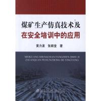 正版新书]煤矿生产仿真技术及在安全培训中的应用黄力波97875024